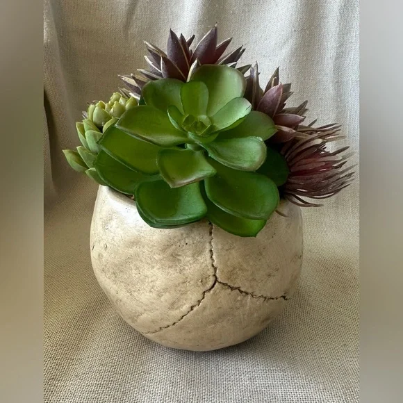 Halloween Succulent Skull Spooky Planter - Picture 5 of 8